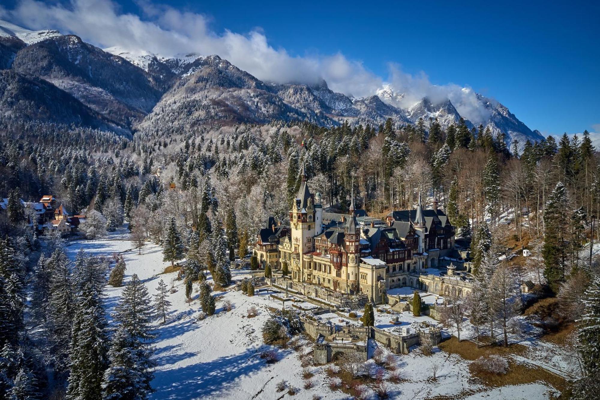 The Cozy Deer Apartment Sinaia Dış mekan fotoğraf